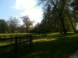 More grounds of the chateau--this is a writing place